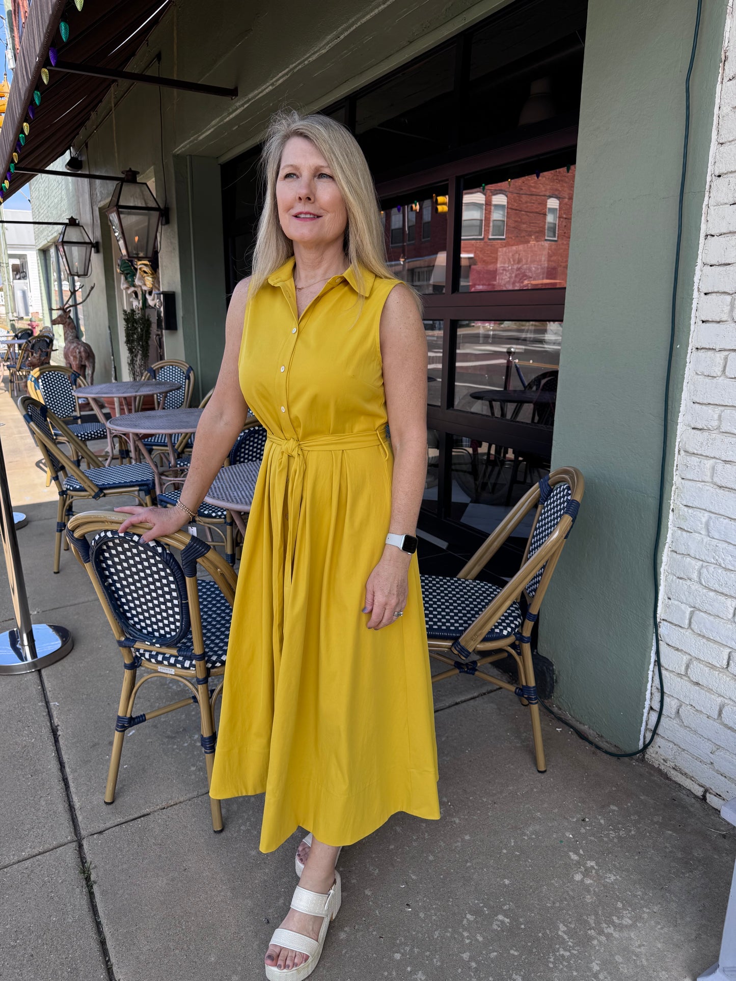 Claire Button Down Flare Dress
