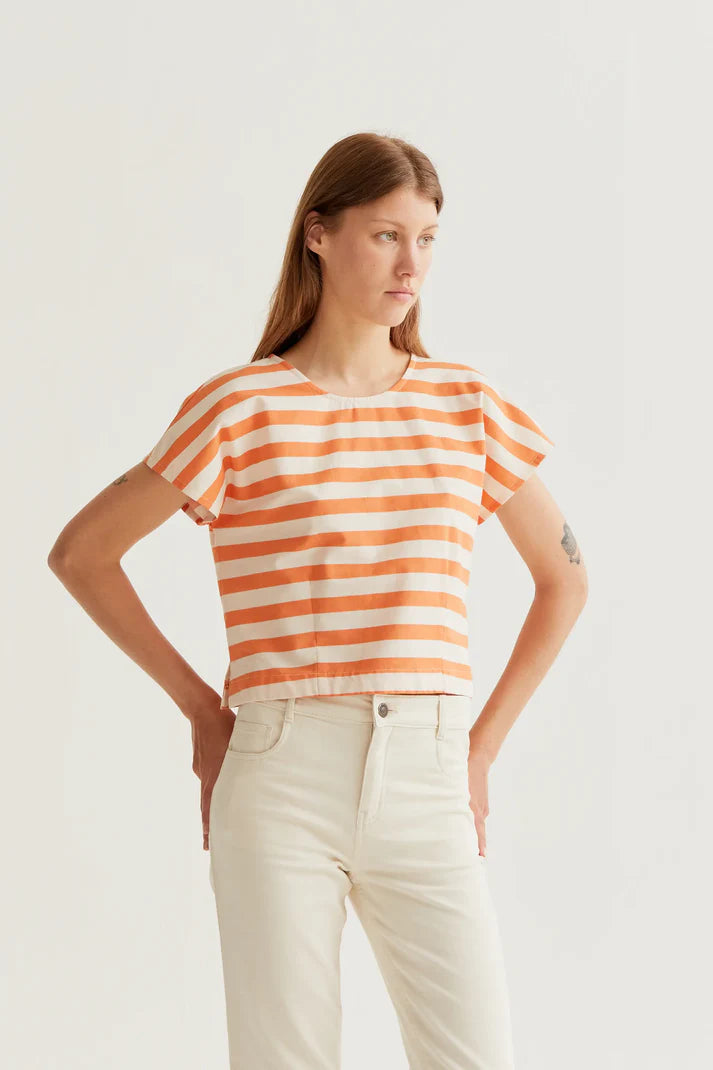 The Lesley Top
